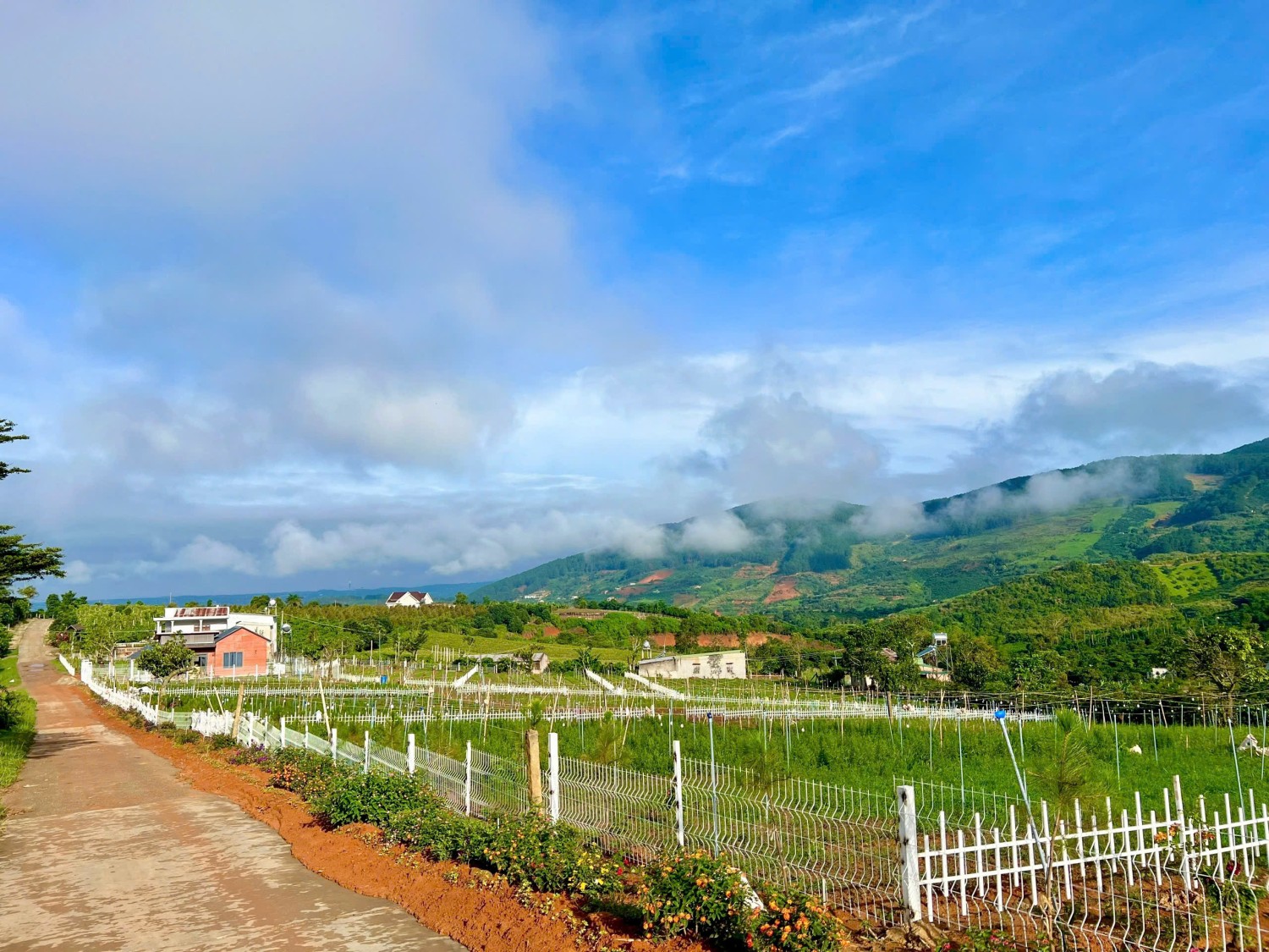 z7013244561992 8b5409a5c29348627faaa419a7d77870